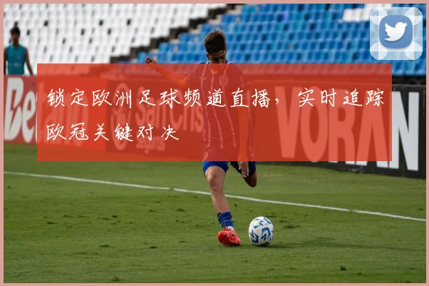 锁定欧洲足球频道直播，实时追踪欧冠关键对决