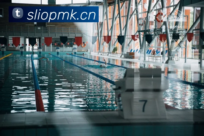 App Interface Preview