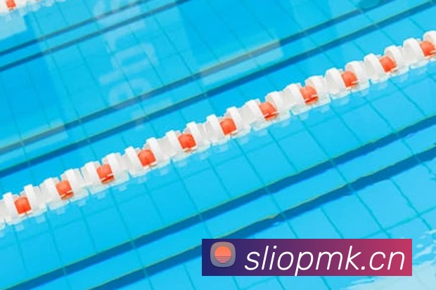 ayx平台官网入口APP 封面图